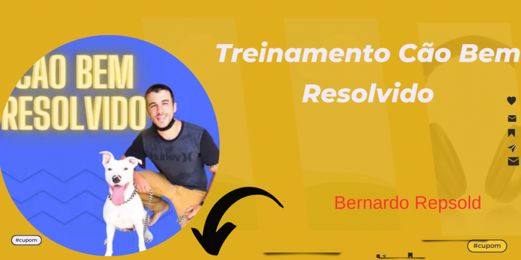 Treinamento Cão Bem Resolvido Bernardo Repsold