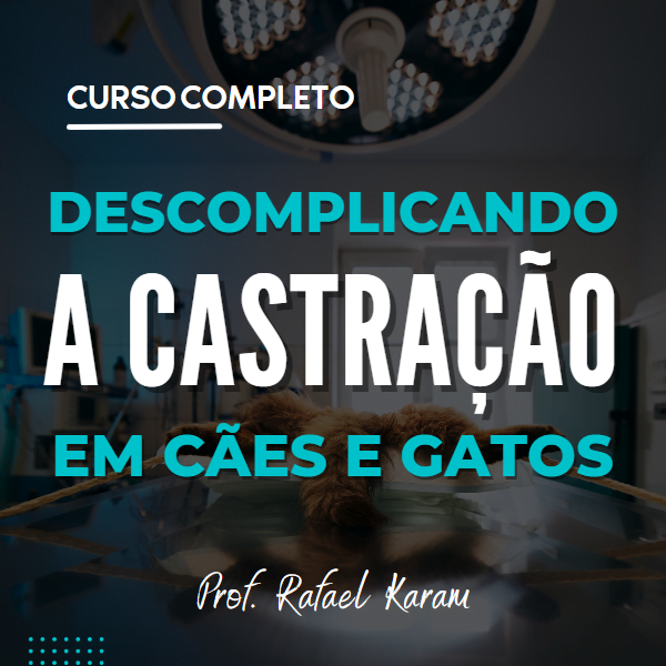 Descomplicando a Castração em Cães e Gatos Prof. Rafael Karam Oque vender para ganhar dinheiro