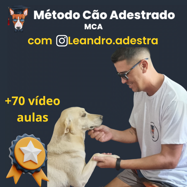 Leandro Vianna Método Cão Adestrado