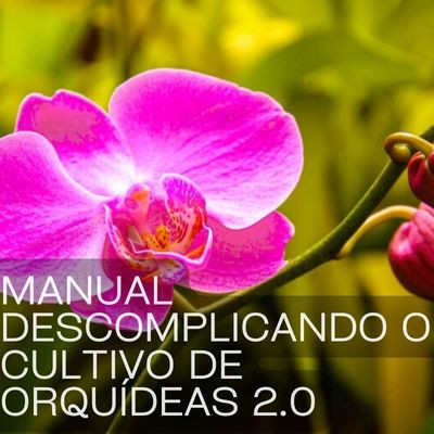 https://livropdf.com.br/ler/W22315763O