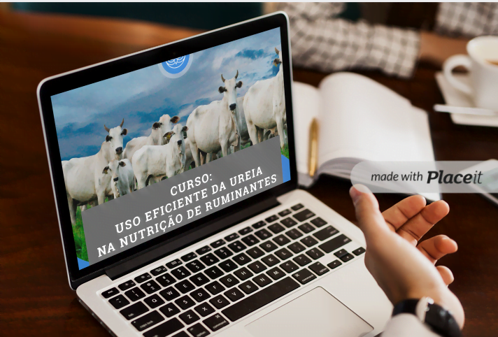 https://livropdf.com.br/ler/W22315763O