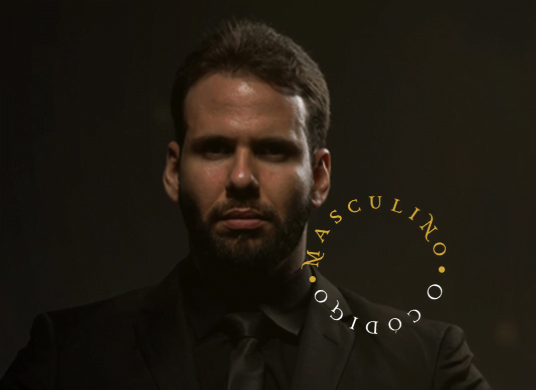 Código Masculino Novo eBook ( Autor Rafael Aires )