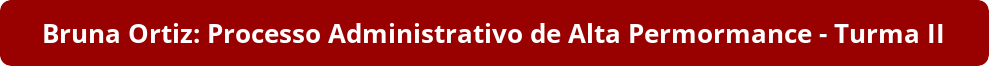 Bruna Ortiz: Processo Administrativo de Alta Permormance - Turma II