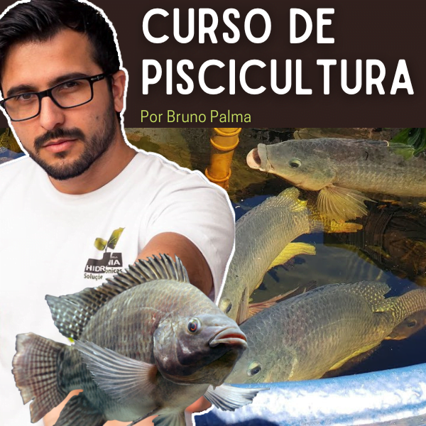 https://livropdf.com.br/ler/W22315763O