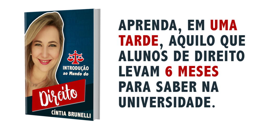 Introdução ao Mundo do Direito com Cintia Brunelli eBook PDF