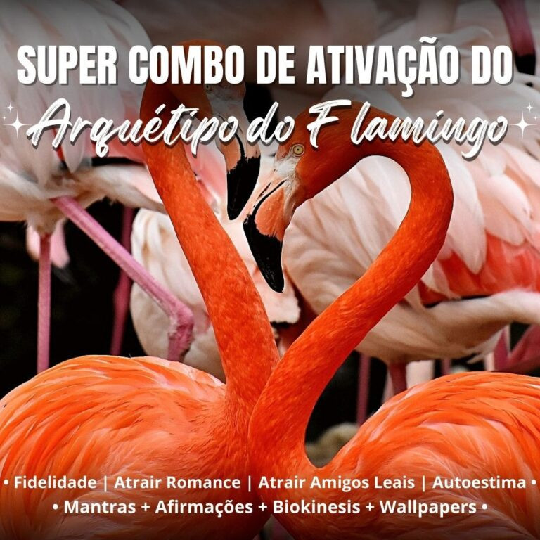 Ativação Arquétipo do Flamingo