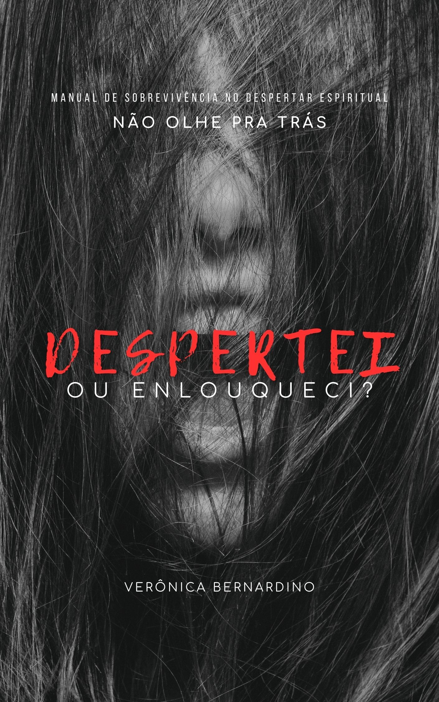 EBOOK Despertei ou enlouqueci? PDF