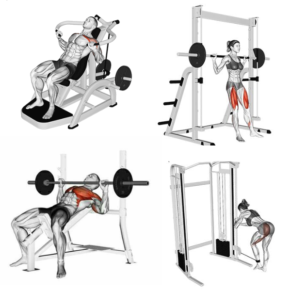 +100 FICHAS DE TREINO E VÍDEOS DOWNLOAD