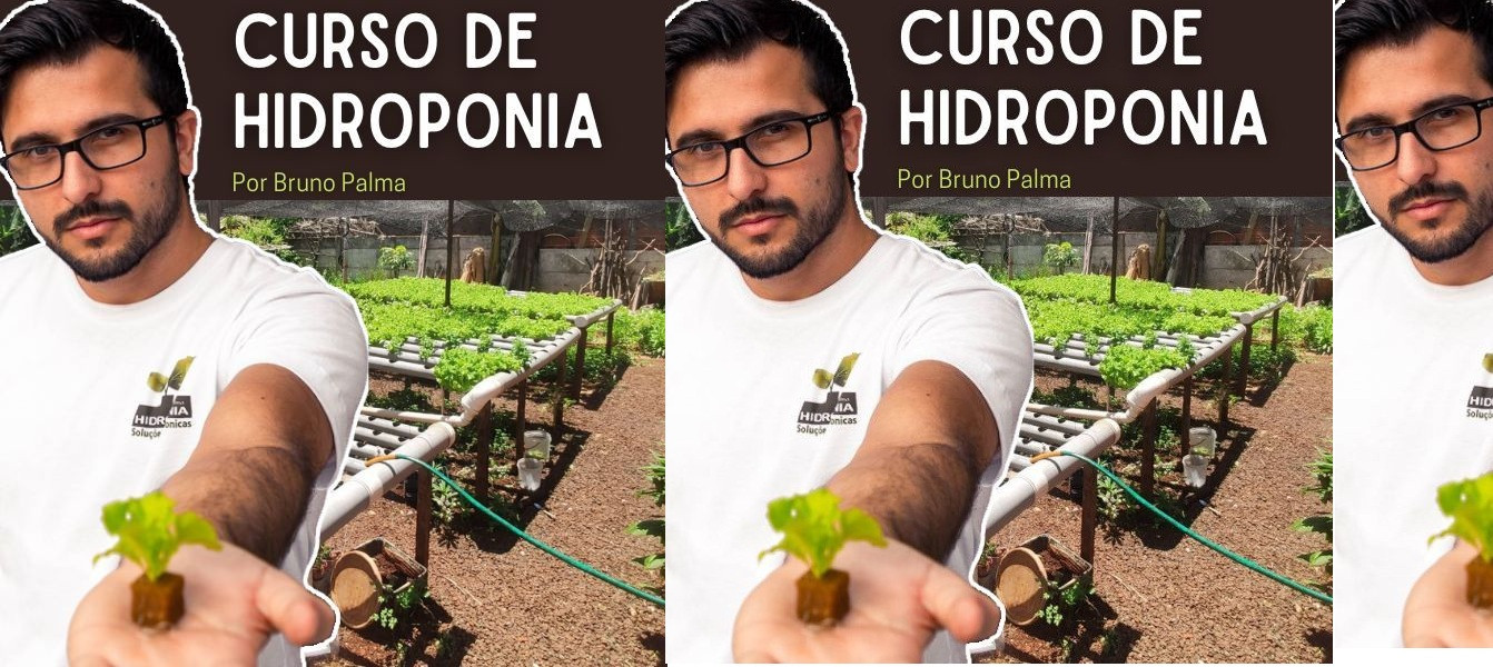 Produza Alimentos Hidropônicos em Casa com o Curso Online de Hidroponia de Bruno Palma – Aprenda a Cultivar Hortaliças de Forma Sustentável e Sem Agrotóxicos 1 Produza Alimentos Hidropônicos em Casa com o Curso Online de Hidroponia de Bruno Palma – Aprenda a Cultivar Hortaliças de Forma Sustentável e Sem Agrotóxicos LivroPDF