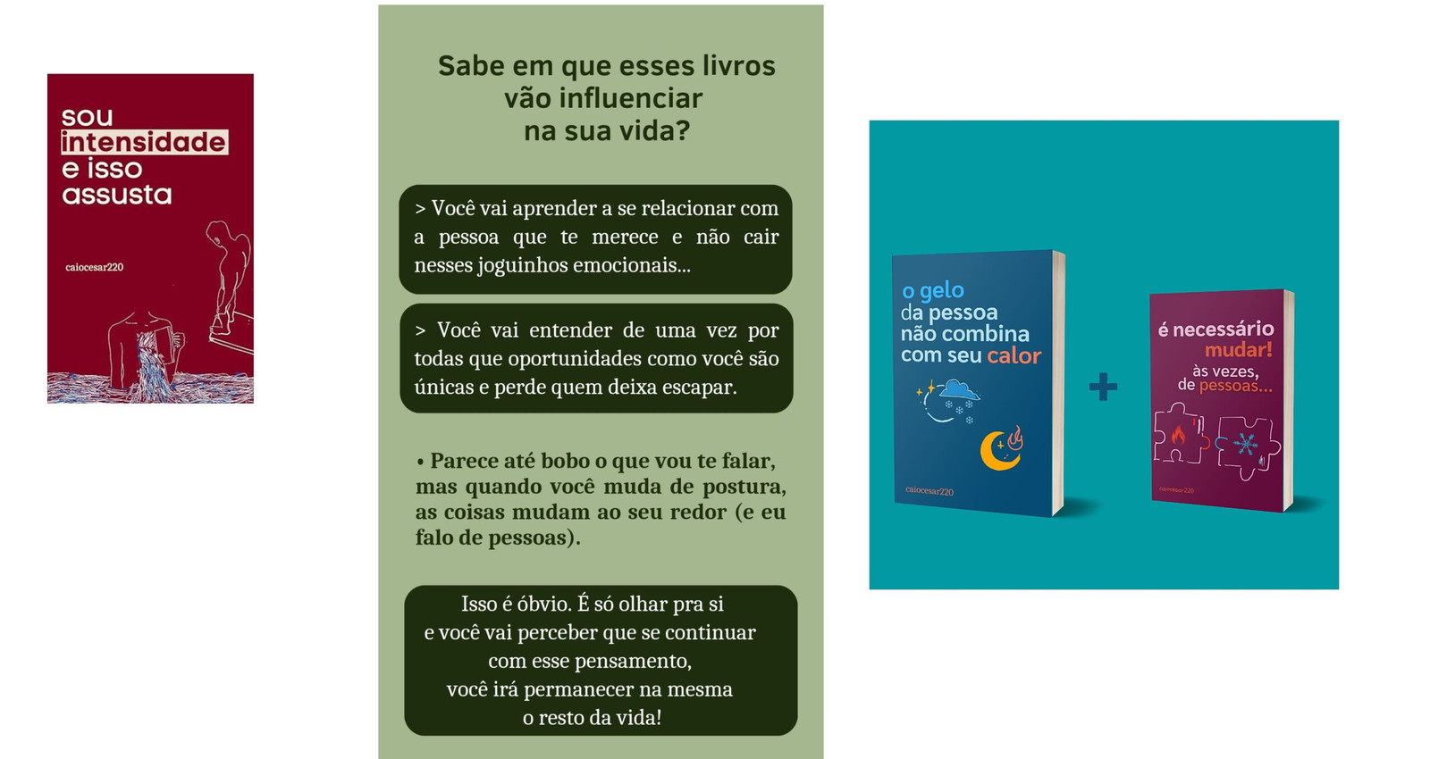 Caiocesar220 os melhores Livros: Gelo não combina - Sou Intensidade e Isso me assusta LivroPDF