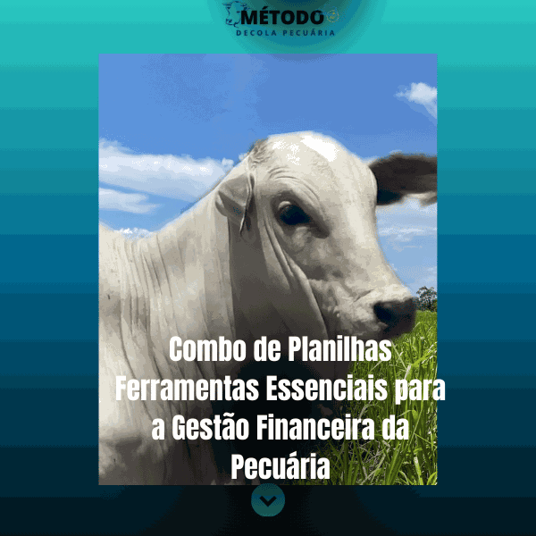 Combo de Planilhas - Ferramentas Poderosas do Casal da Pecuária download 1 Combo de Planilhas - Ferramentas Poderosas do Casal da Pecuária