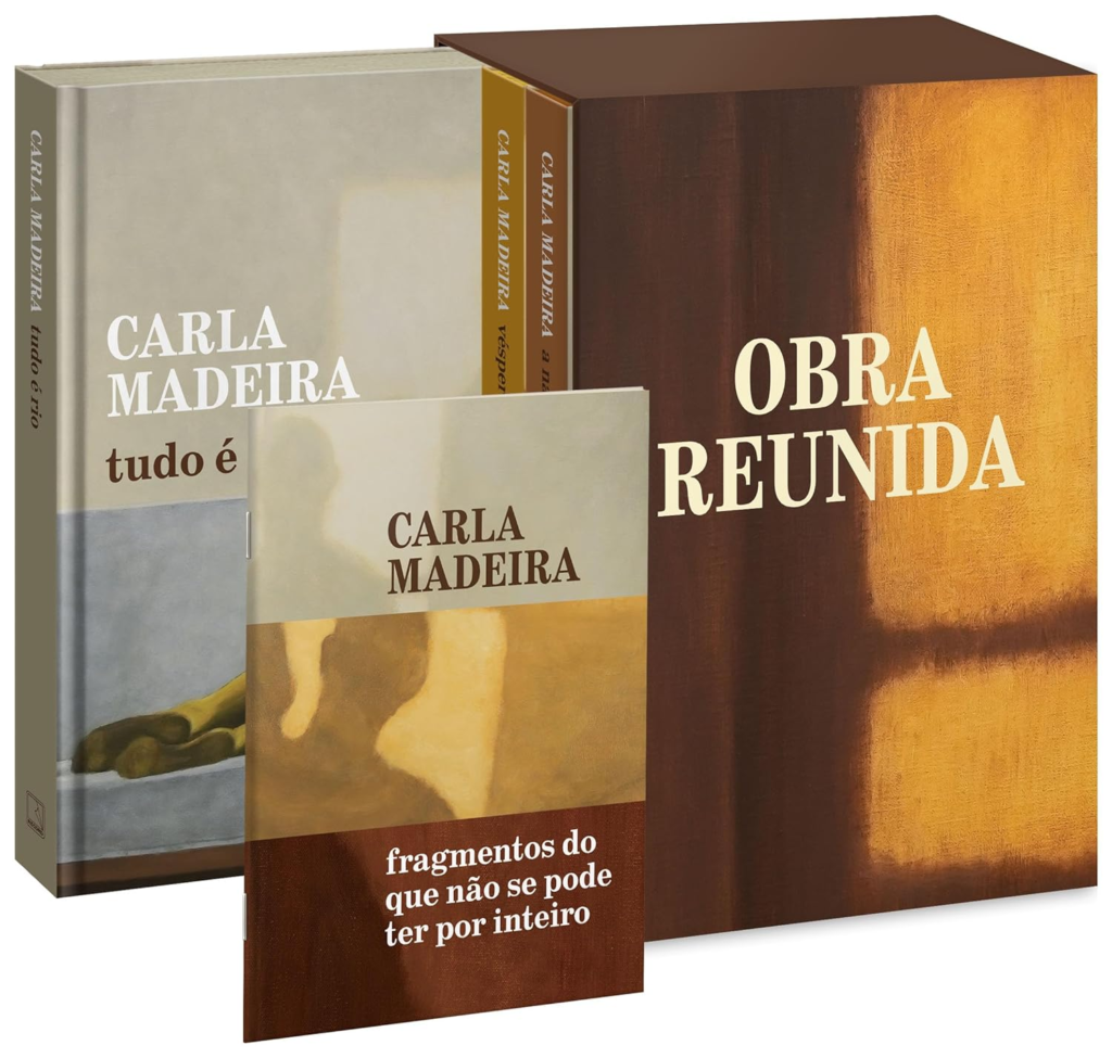 image-226-1024x975 Box Carla Madeira - Obra Reunida | Carla Madeira | Ebook