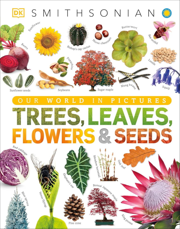 Trees, Leaves, Flowers and Seeds: A Visual Encyclopedia of the Plant Kingdom | DK | Ebook