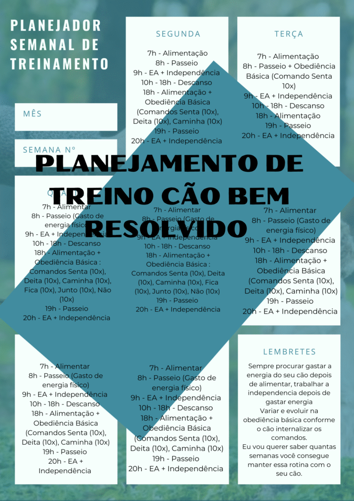 image-19-724x1024 Planilha de Treino Cão Bem Resolvido - Bernardo Nogueira Repsold | DOWNLOAD