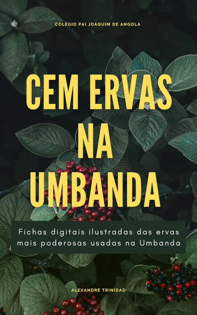 image-26-642x1024 100 Ervas na Umbanda: Fichas Digitais Ilustradas - Alexandre Trinidad | eBook