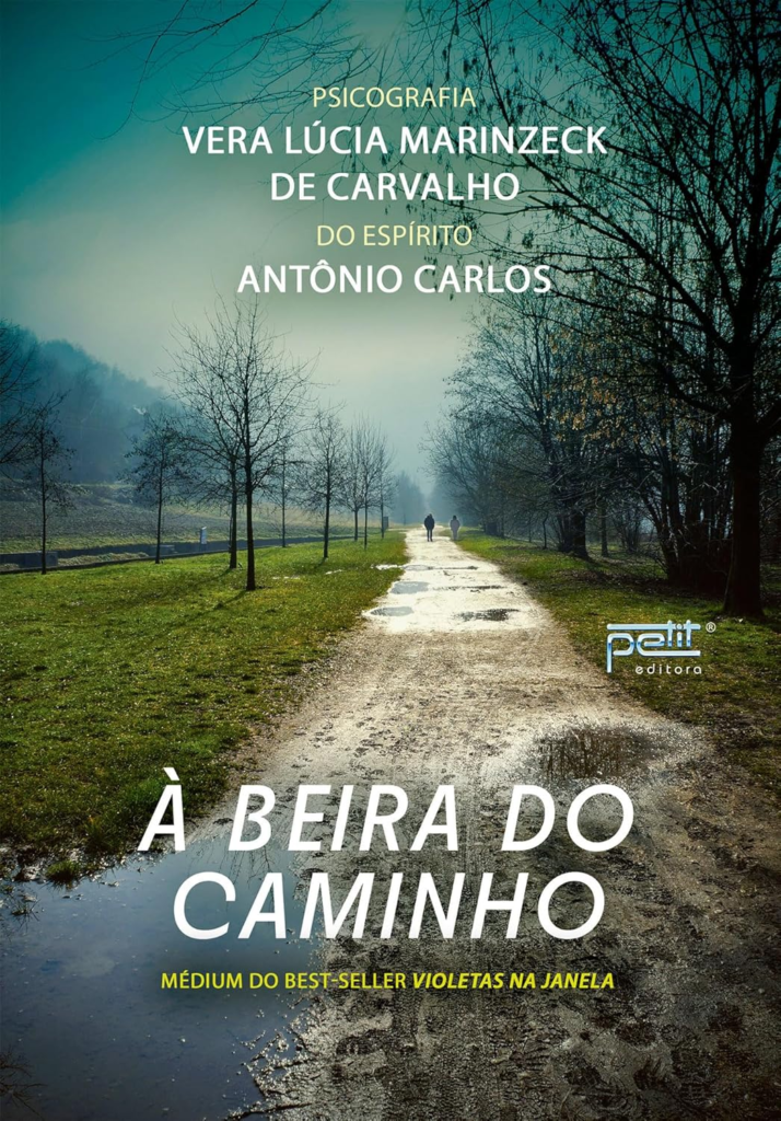 image-63-714x1024 À Beira do Caminho - Vera Lúcia Marinzeck de Carvalho | eBookPDF