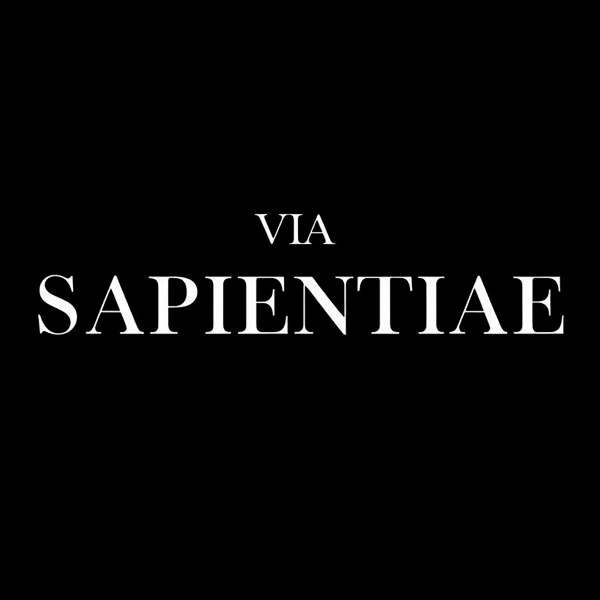 Via Sapientiae Método Lento Profundo Baixa Prova Social