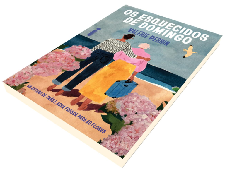 Os esquecidos de domingo – Valérie Perrin | EbookPDF