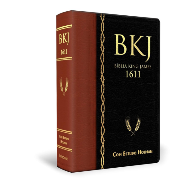 image-360-600x600 Livro PDF: Resumos e Indicações de Livros, eBooks