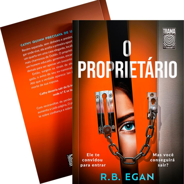 image-387-600x600 Livro PDF: Resumos e Indicações de Livros, eBooks