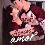 Capa do eBook Acasos do Amor de Milena Seyfild – romance proibido entre capitão de hóquei de Harvard e estudante