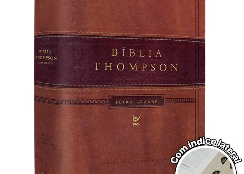 b-blia-de-estudo-thompson-aec-letra-grande-800x570 Livro PDF: Resumos e Indicações de Livros, eBooks
