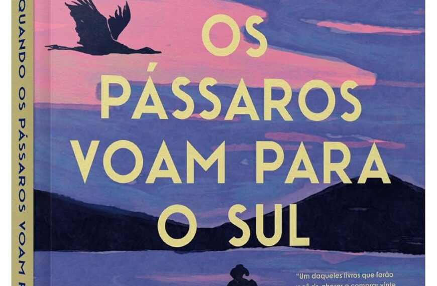 capa-quando-os-p-ssaros-voam-para-o-sul-3-870x570 Livro PDF: Resumos e Indicações de Livros, eBooks