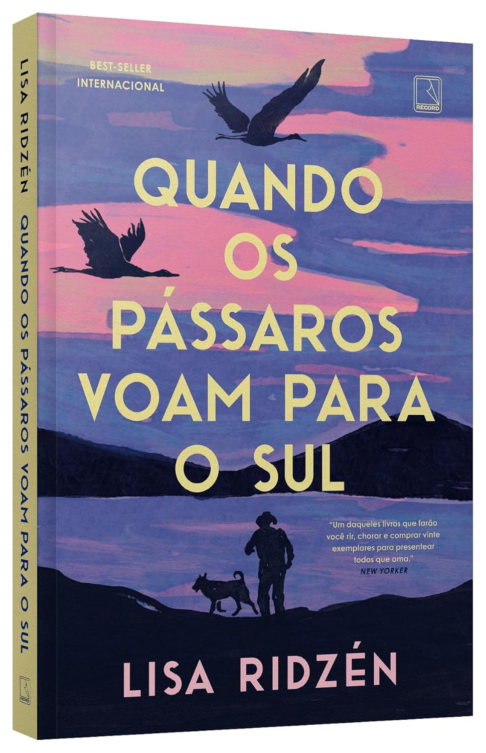 capa do livro Quando os pássaros voam para o sul de Lisa Ridzén – romance sobre memória, afeto e envelhecimento