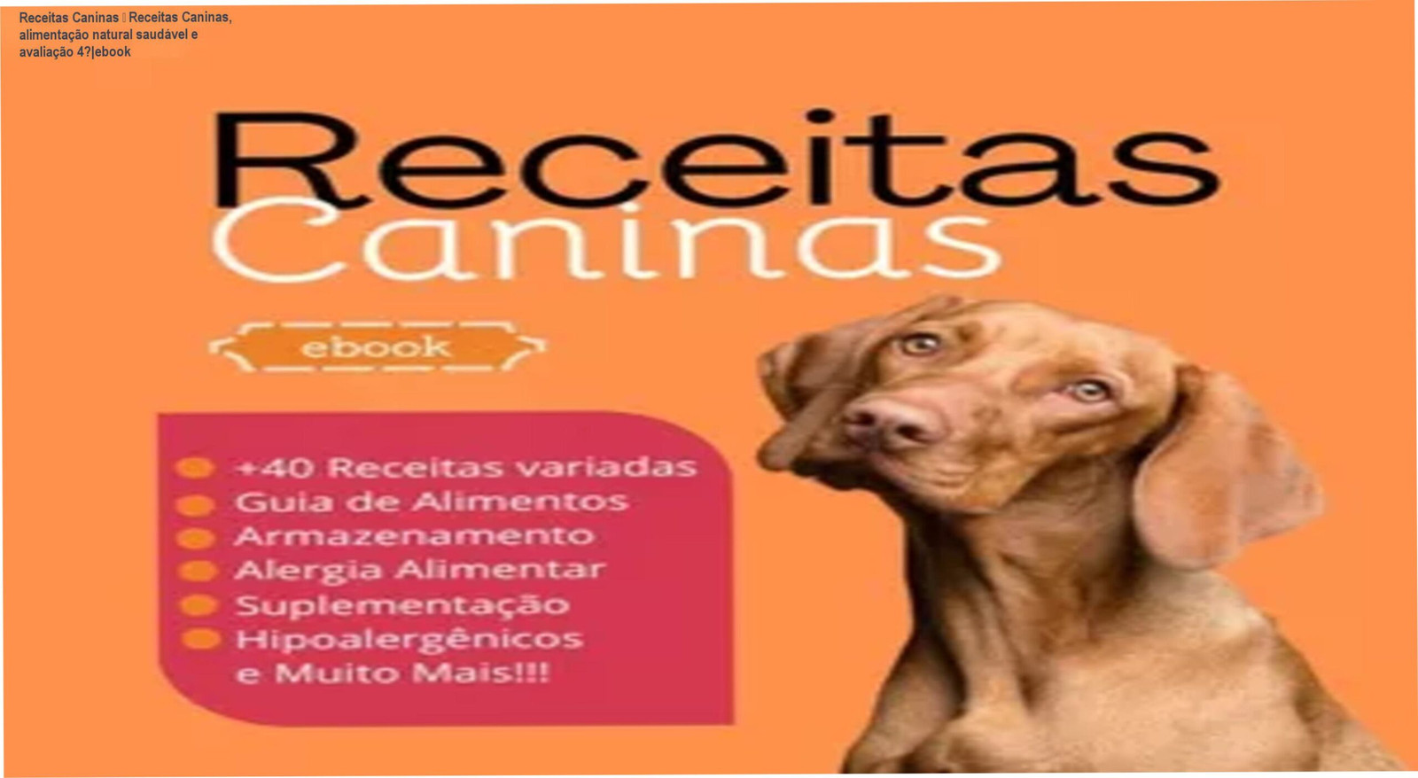 Capa do eBook Receitas Caninas mostrando pratos caseiros saudáveis para cães