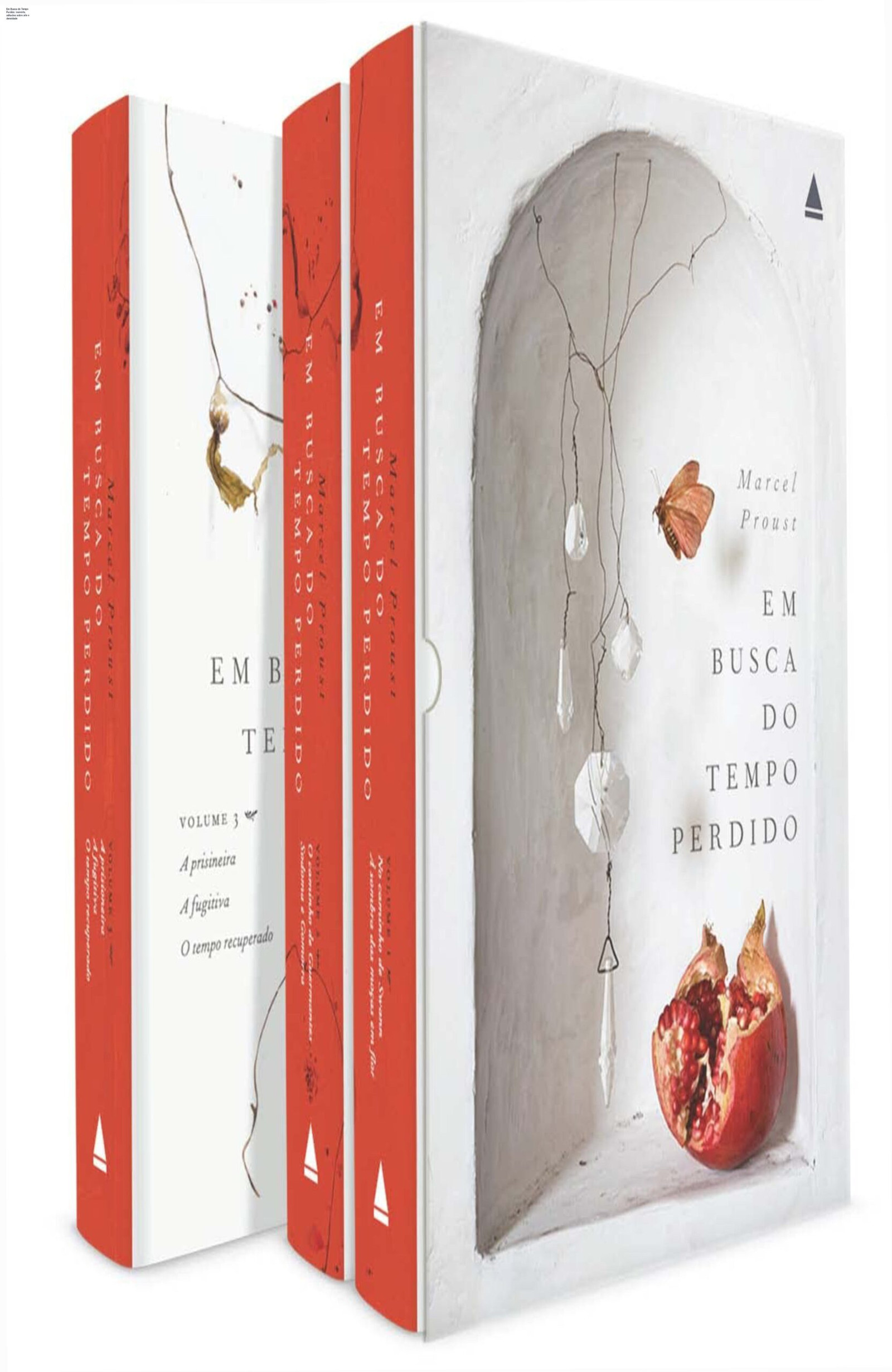 Em Busca do Tempo Perdido: memória, reflexões sobre arte e densidade 1 Capa do box em capa dura de Em Busca do Tempo Perdido, destaque para a tradução de Fernando Py e notas explicativas, ideal para leitura reflexiva