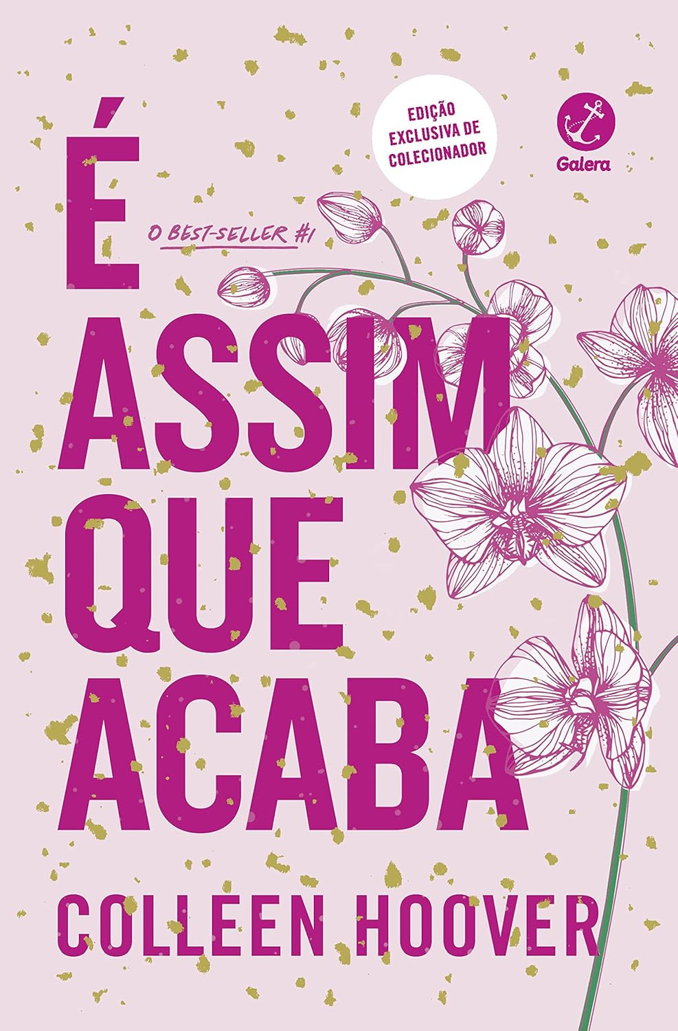 PDF do livro É assim que acaba Colleen Hoover edição colecionador