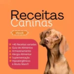 receitas caninas alimentação natural caseira