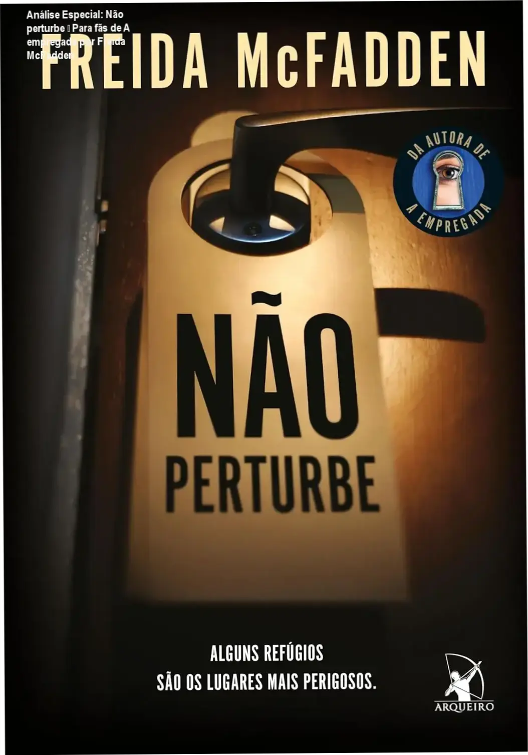 Análise Especial: Não perturbe – Para fãs de A empregada por Freida McFadden 1 Capa informativa sobre o tema Não perturbe – Para fãs de A empregada por Freida McFadden
