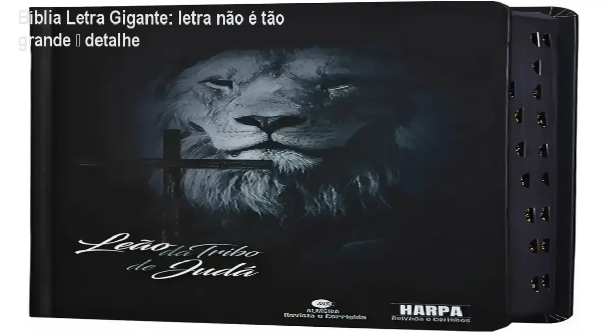Bíblia Letra Gigante: letra não é tão grande – detalhe 1 Bíblia Sagrada Letra Gigante/João Ferreira de Almeida – cronograma de leitura