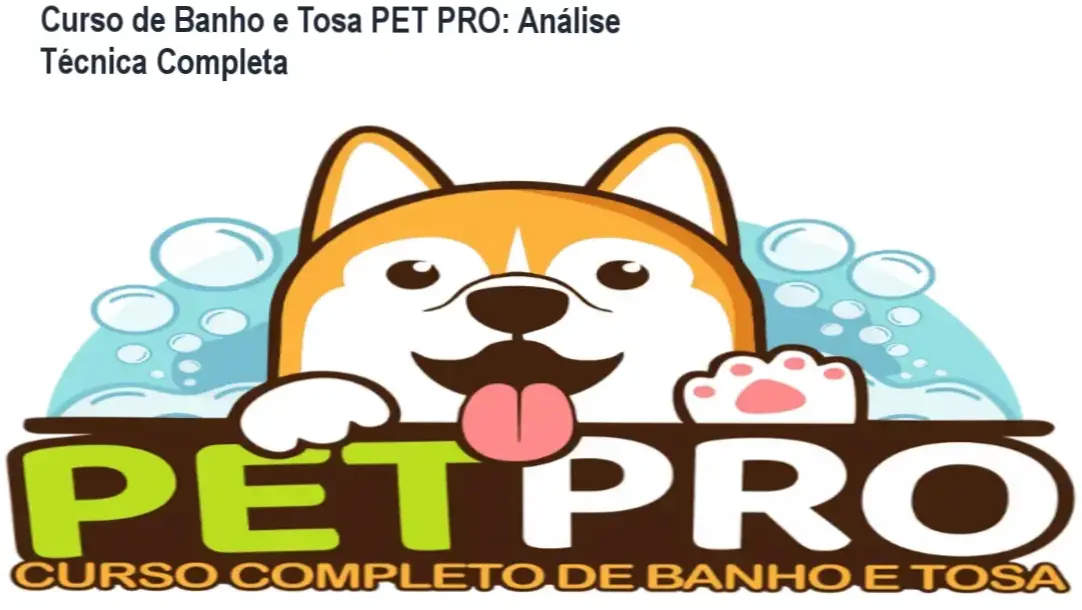 Curso de Banho e Tosa PET PRO da WebHoje – bastidores e funcionamento interno