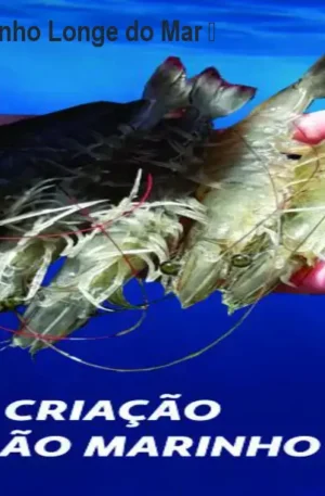Curso de Camarão Marinho Longe do Mar – Aprenda Online