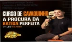 Gráfico de desempenho técnico do ecossistema Cavaquinho - A PROCURA DA BATIDA PERFEITA - Léo Soares",