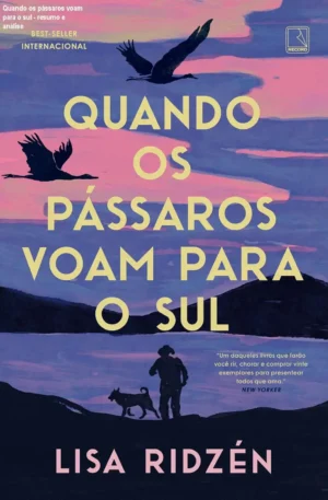 Quando os pássaros voam para o sul - resumo e análise
