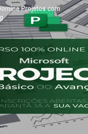 MS Project Expert – Domine Projetos com Suporte e Networking