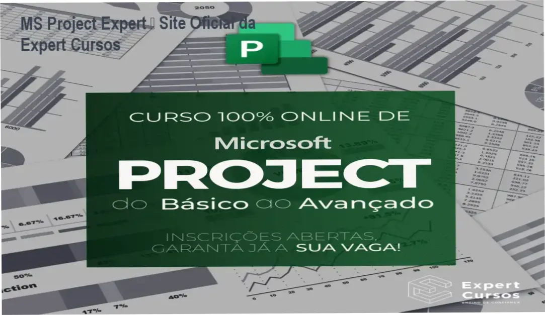 MS Project Expert página oficial de compra segura