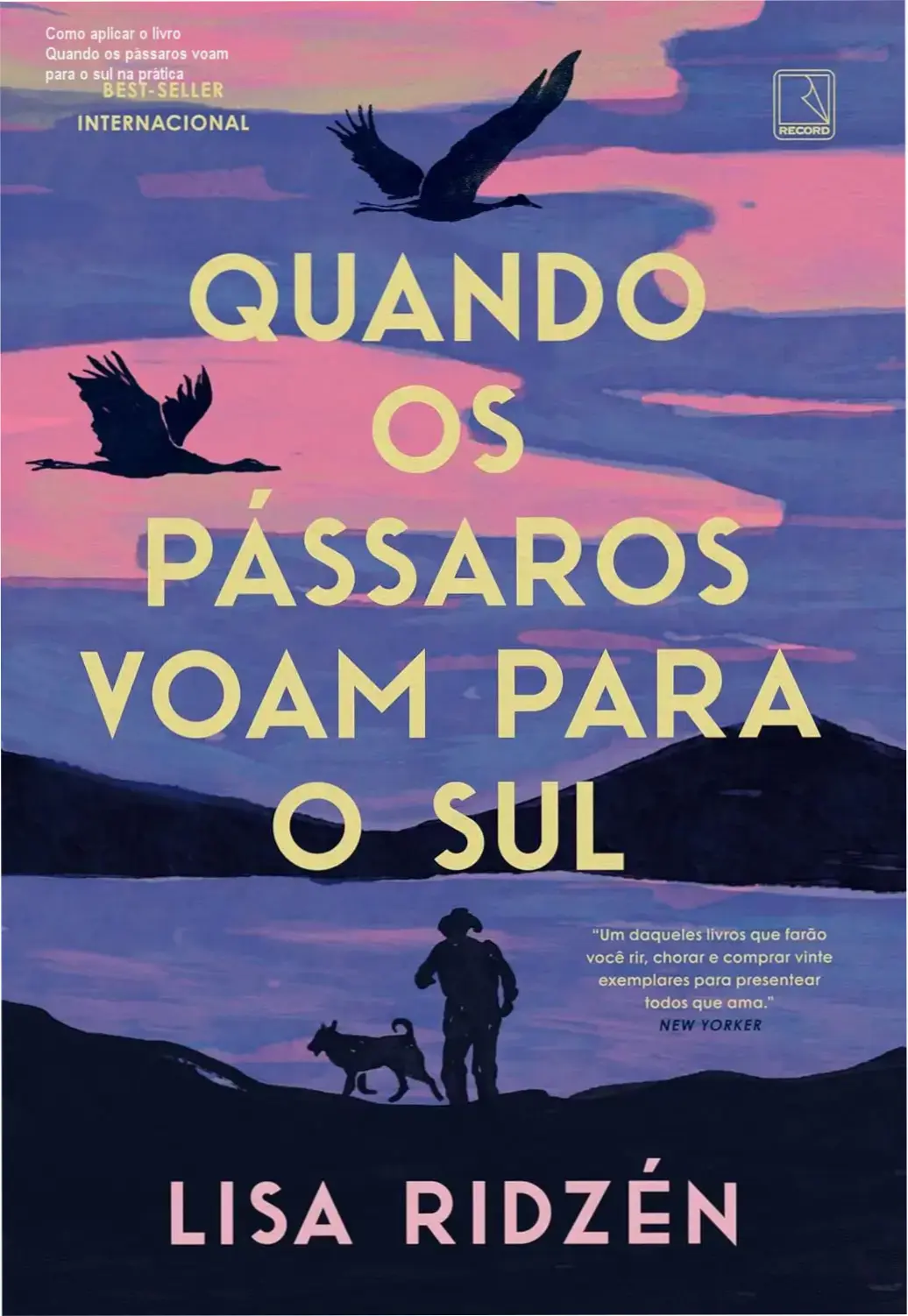 Capa do livro Quando os pássaros voam para o sul, abordando tema de envelhecimento e autonomia