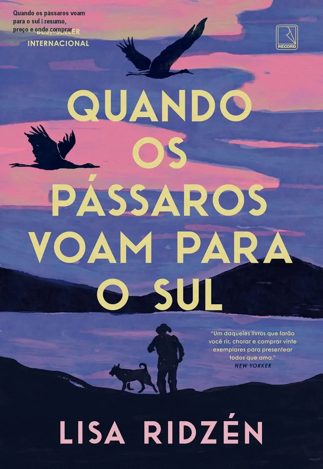 Quando os pássaros voam para o sul – resumo, preço e onde comprar 1 Quando os pássaros voam para o sul – resumo, preço e onde comprar