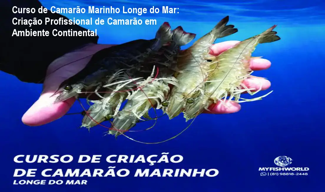 Curso de Camarão Marinho Longe do Mar: Criação Profissional de Camarão em Ambiente Continental 1 Curso de Camarão Marinho Longe do Mar: Criação Profissional de Camarão em Ambiente Continental