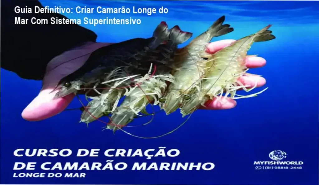 Guia definitivo com Vanaldo de Assis P. Lobo explicando o sistema superintensivo de cultivo de camarão marinho