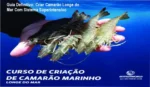 Guia definitivo com Vanaldo de Assis P. Lobo explicando o sistema superintensivo de cultivo de camarão marinho