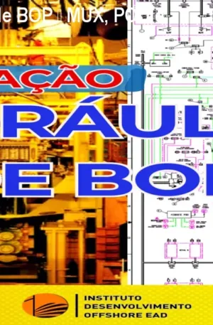 Curso de Hidráulica de BOP – MUX, POD e LMRP