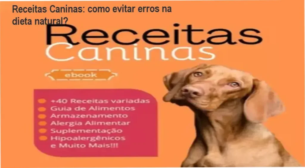 Receitas Caninas: como evitar erros na dieta natural? 1 Capa do eBook Receitas Caninas com prato de comida natural para cão
