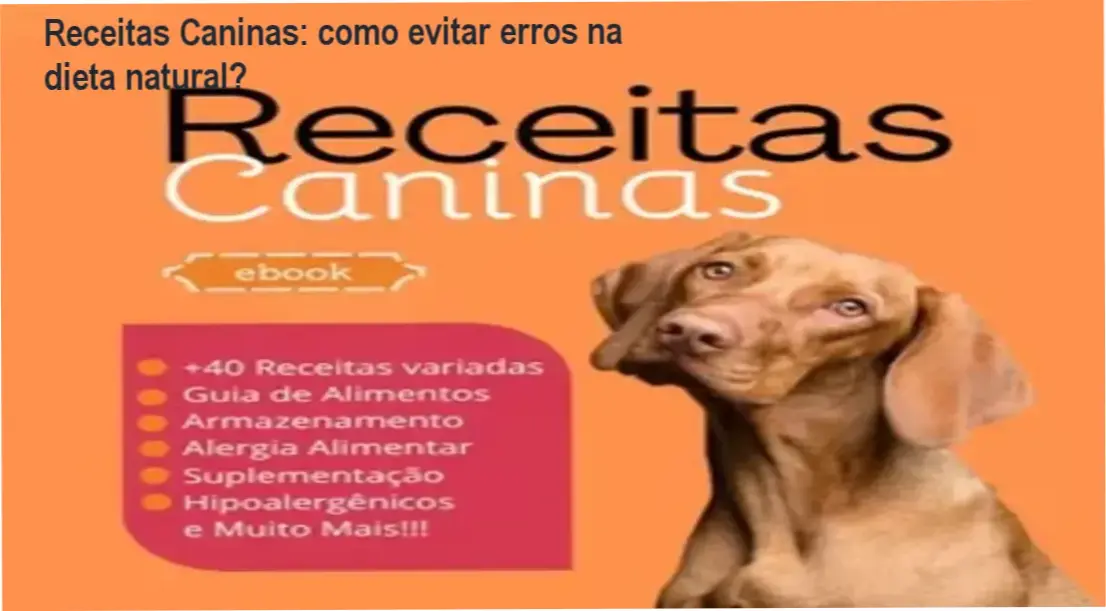 Receitas Caninas: como evitar erros na dieta natural? 1 Capa do eBook Receitas Caninas com prato de comida natural para cão