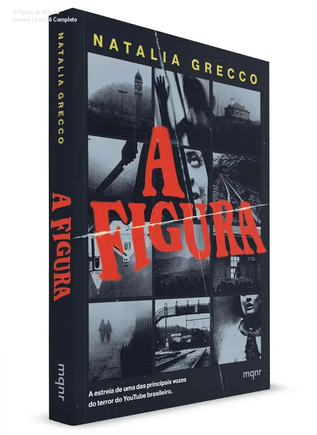 A Figura de Natalia Grecco | Dossiê Completo 1 Capa do livro A Figura de Natalia Grecco em um cenário de neblina misteriosa