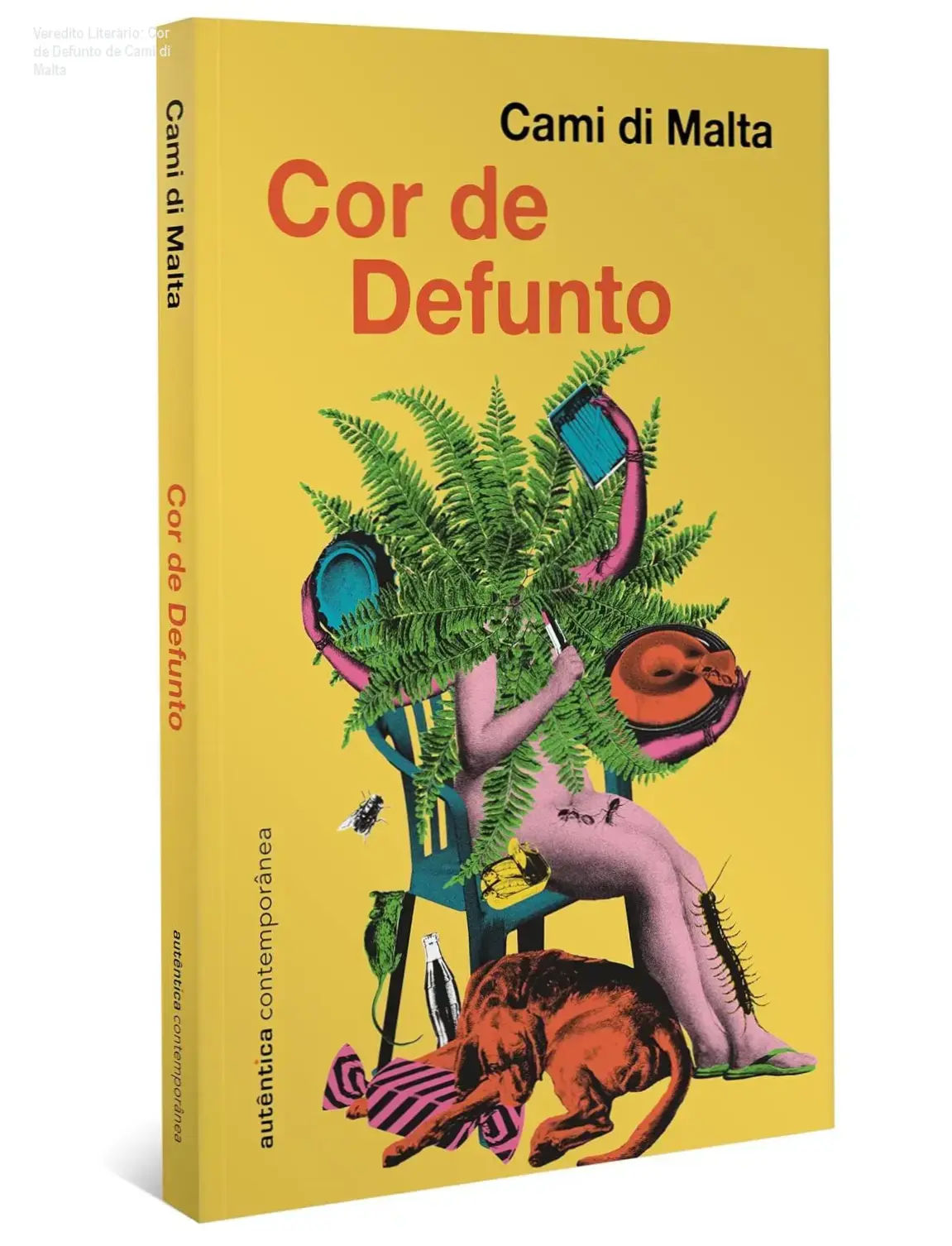 Veredito Literário: Cor de Defunto de Cami di Malta 1 Cor de Defunto de Cami di Malta: bastidores e visão interna da narrativa